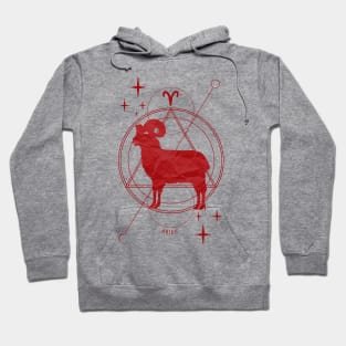 Zodiac, Aries, Astrology, Star sign, Stars Hoodie